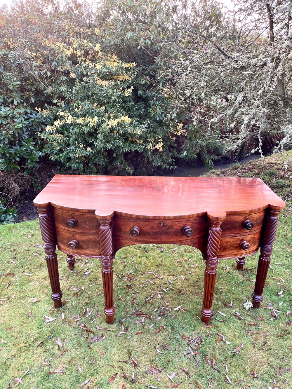 Scottish mahogany sideboard server View VI