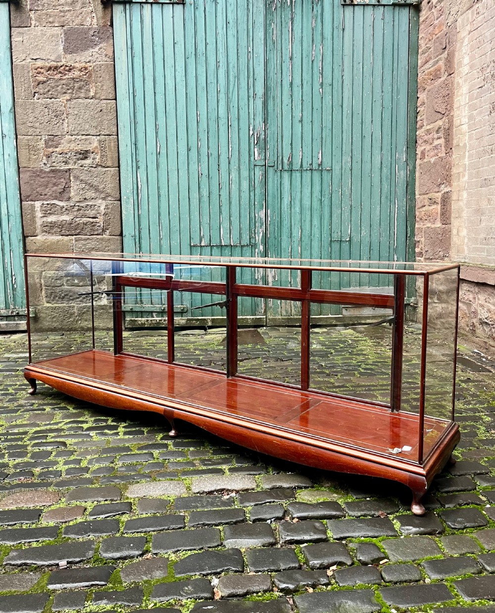 Very large shop counter display cabinet 