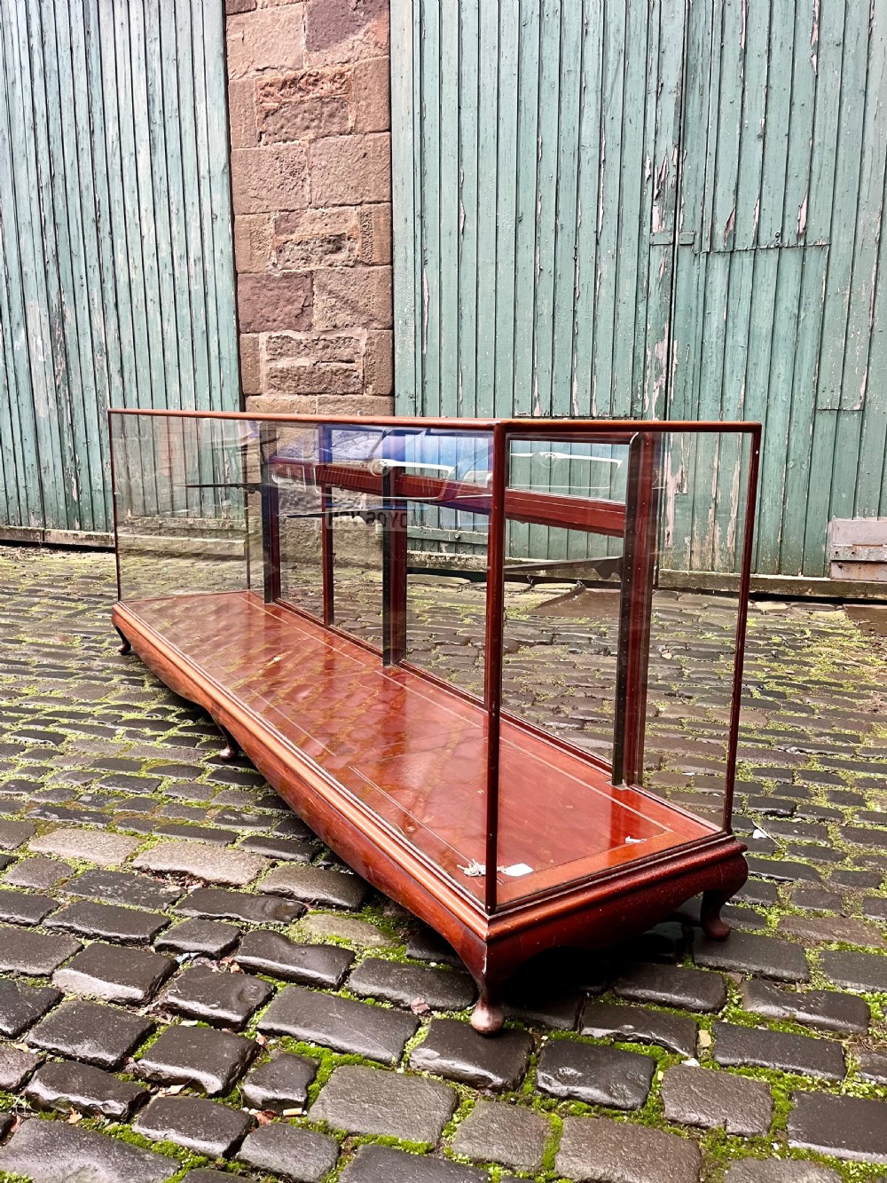 Very large shop counter display cabinet  View II