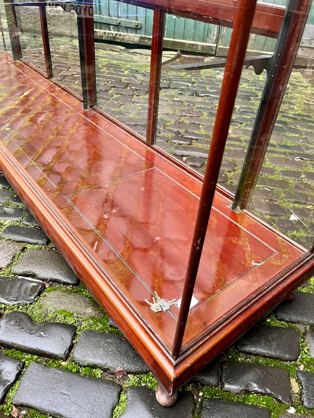Very large shop counter display cabinet  View IV