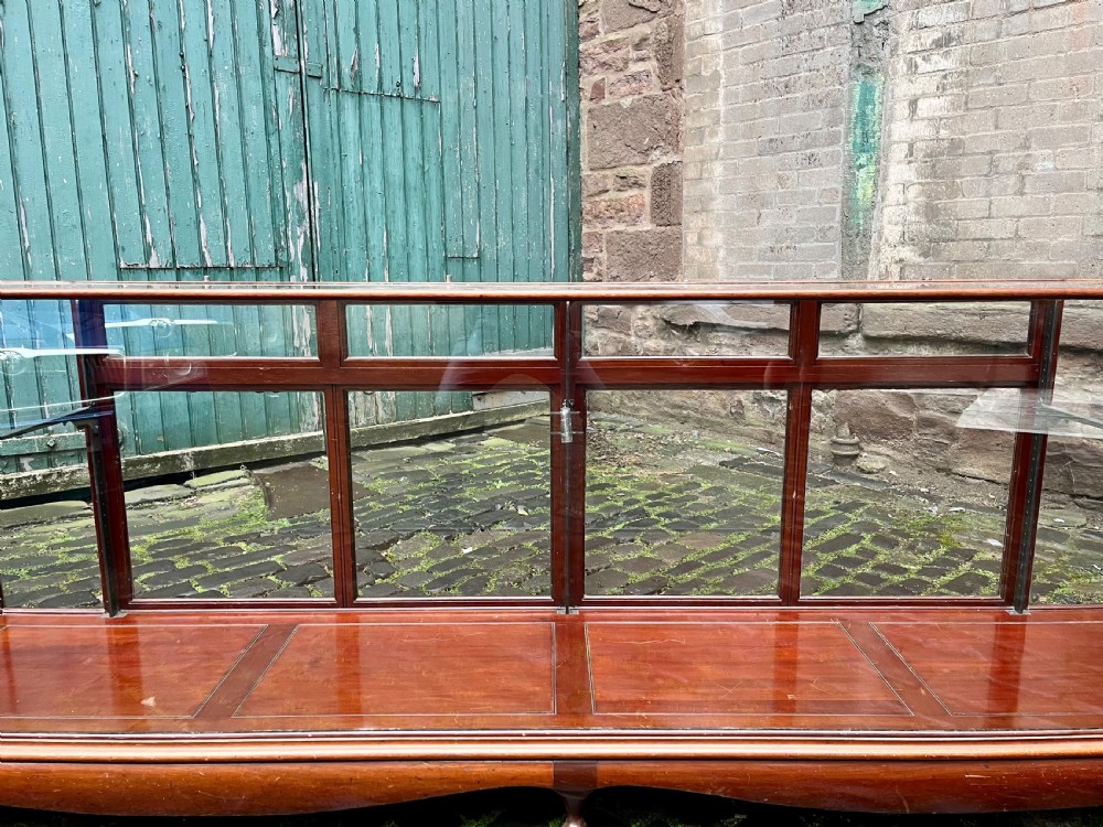 Very large shop counter display cabinet  View XVI