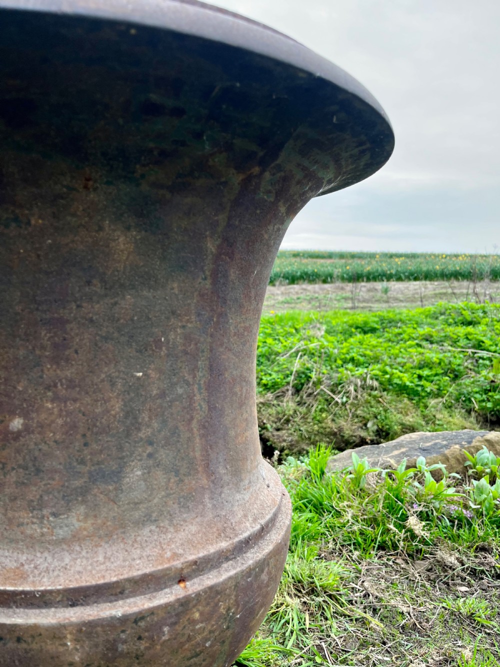 Large pair cast iron garden urns  View XI