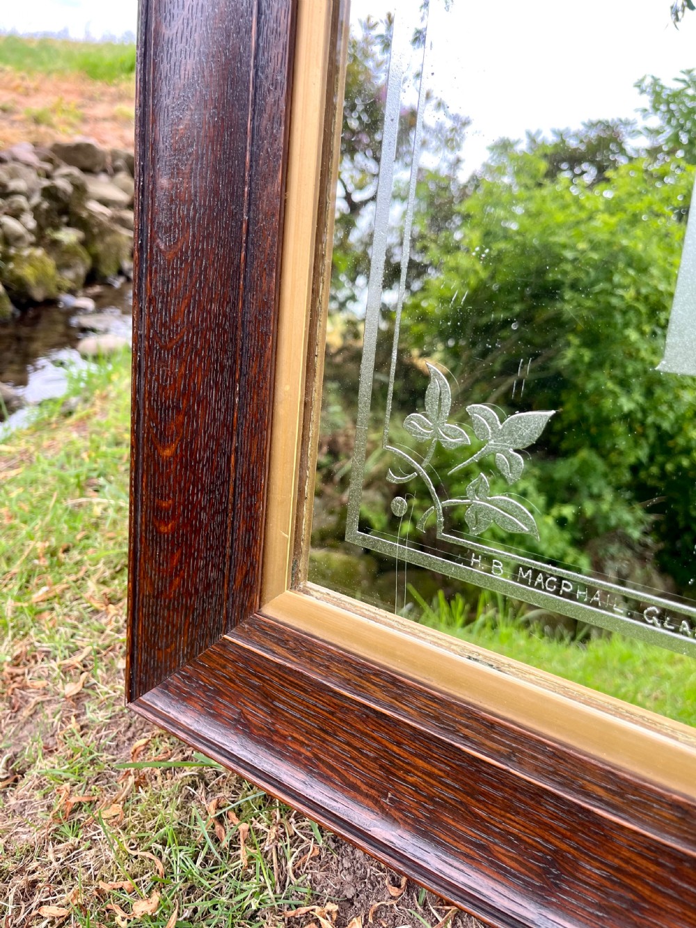 Advertising mirror  View IX