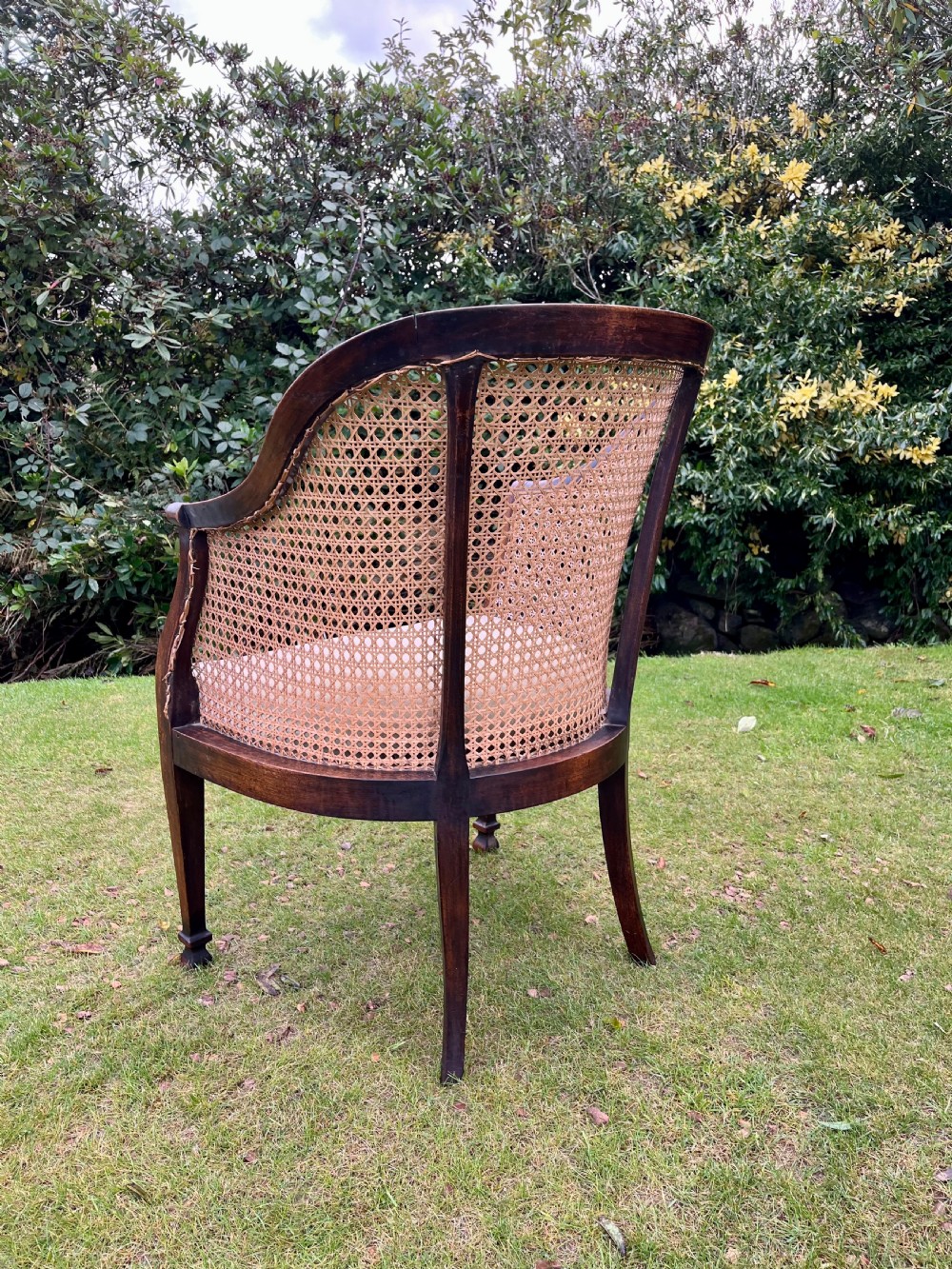 Pair bergere armchairs View V