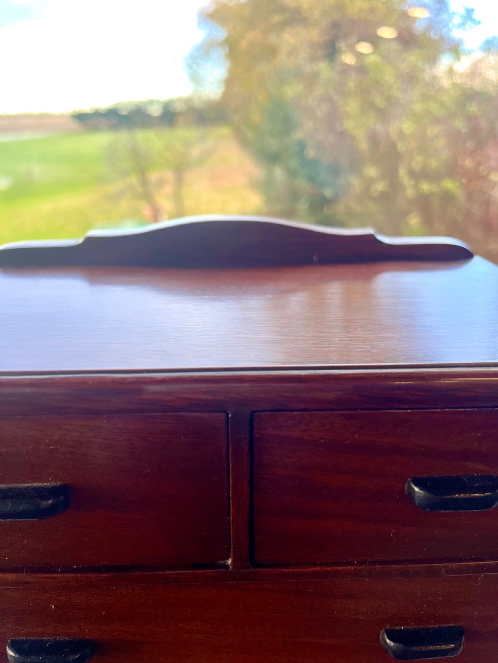 Mahogany miniature apprentice chest of drawers  View VI