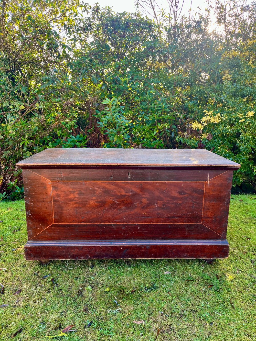 A rectangular dark reddish-brown pine storage chest with a hinged lid, painted panel border detail, and iron side handles. View V
