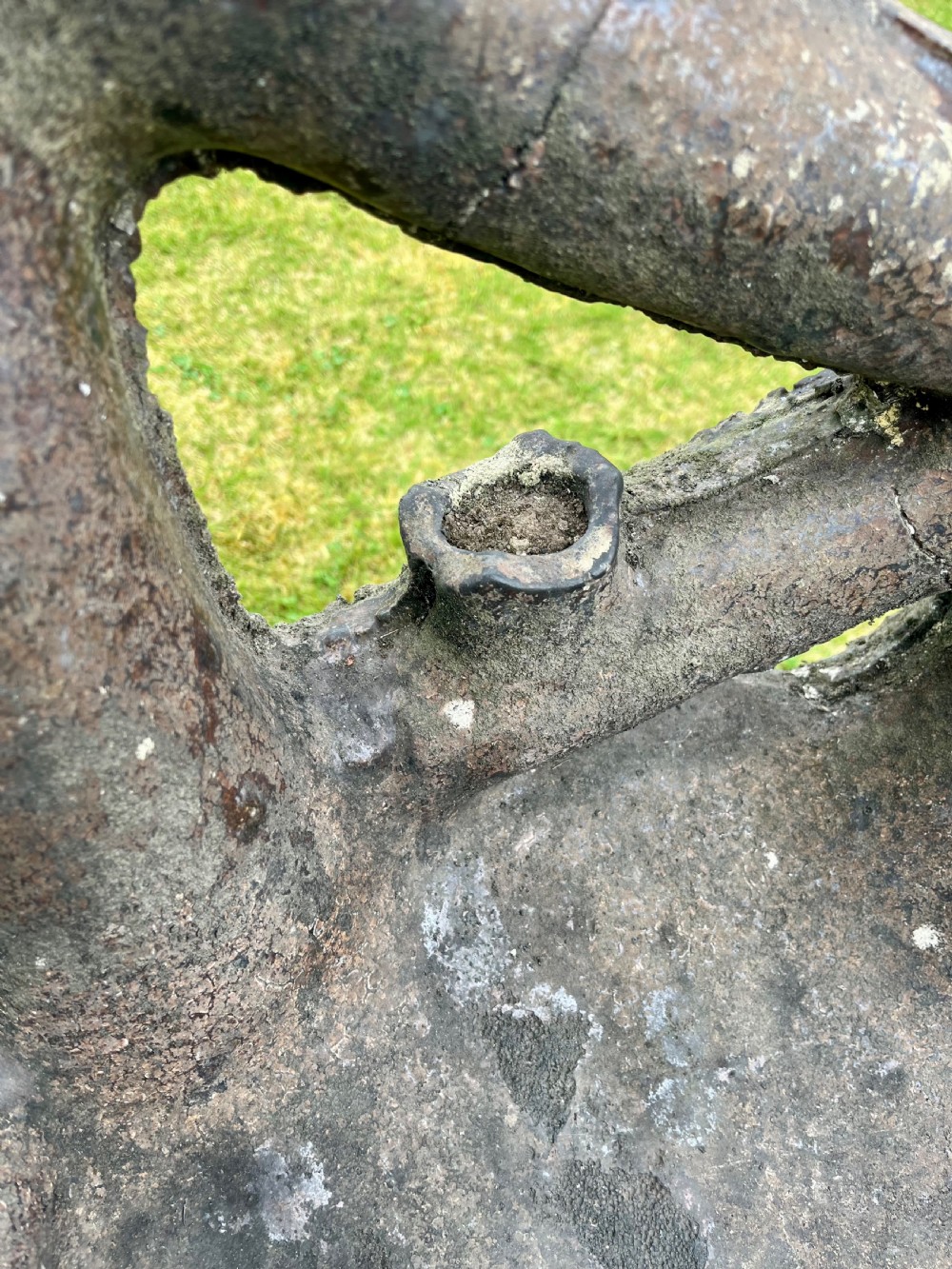 Scottish faux bois garden chair  View IX