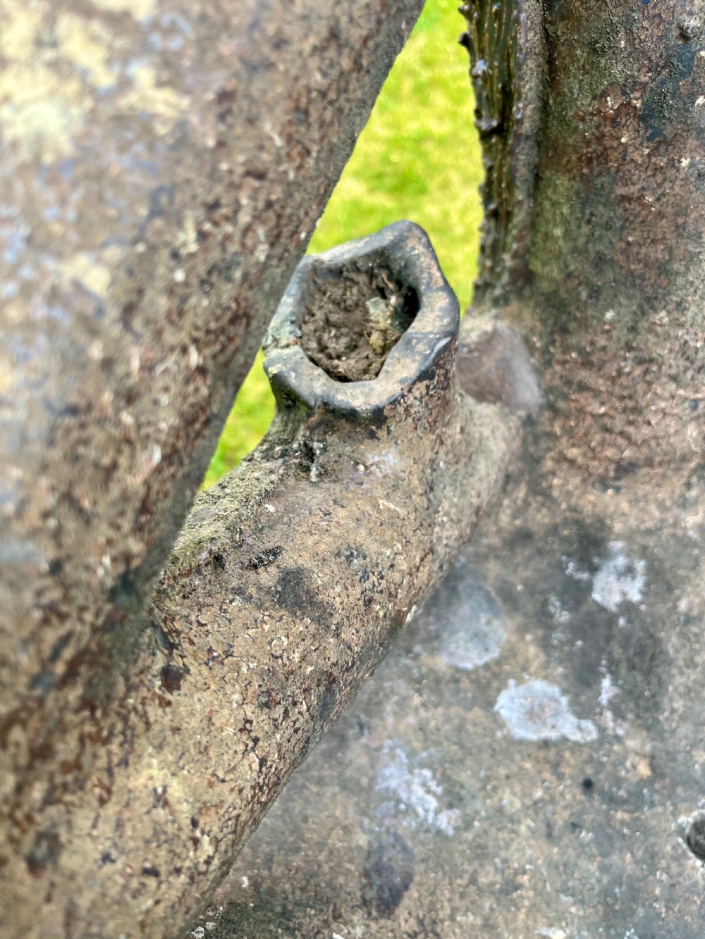 Scottish faux bois garden chair  View XIII