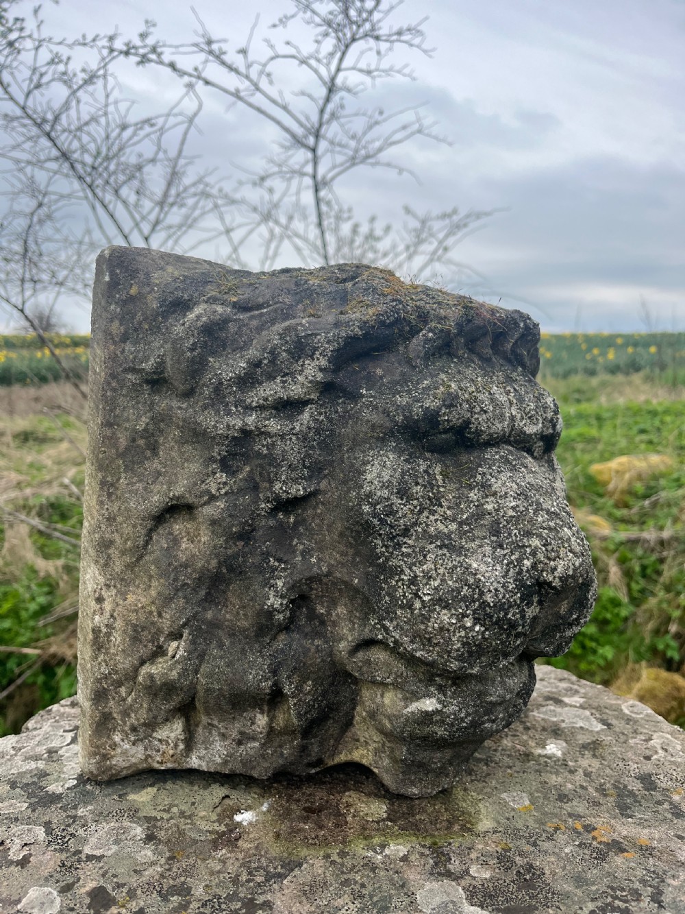 Stone lion mask fountain head View V