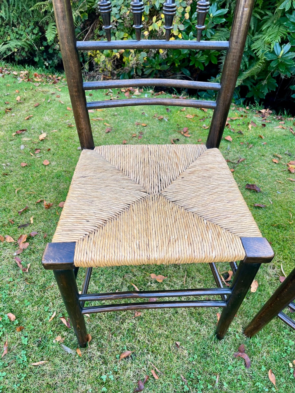 Pair Sussex chairs  View IX