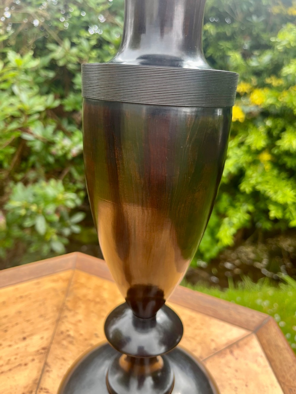 Pair of large lignum vitae vases View II