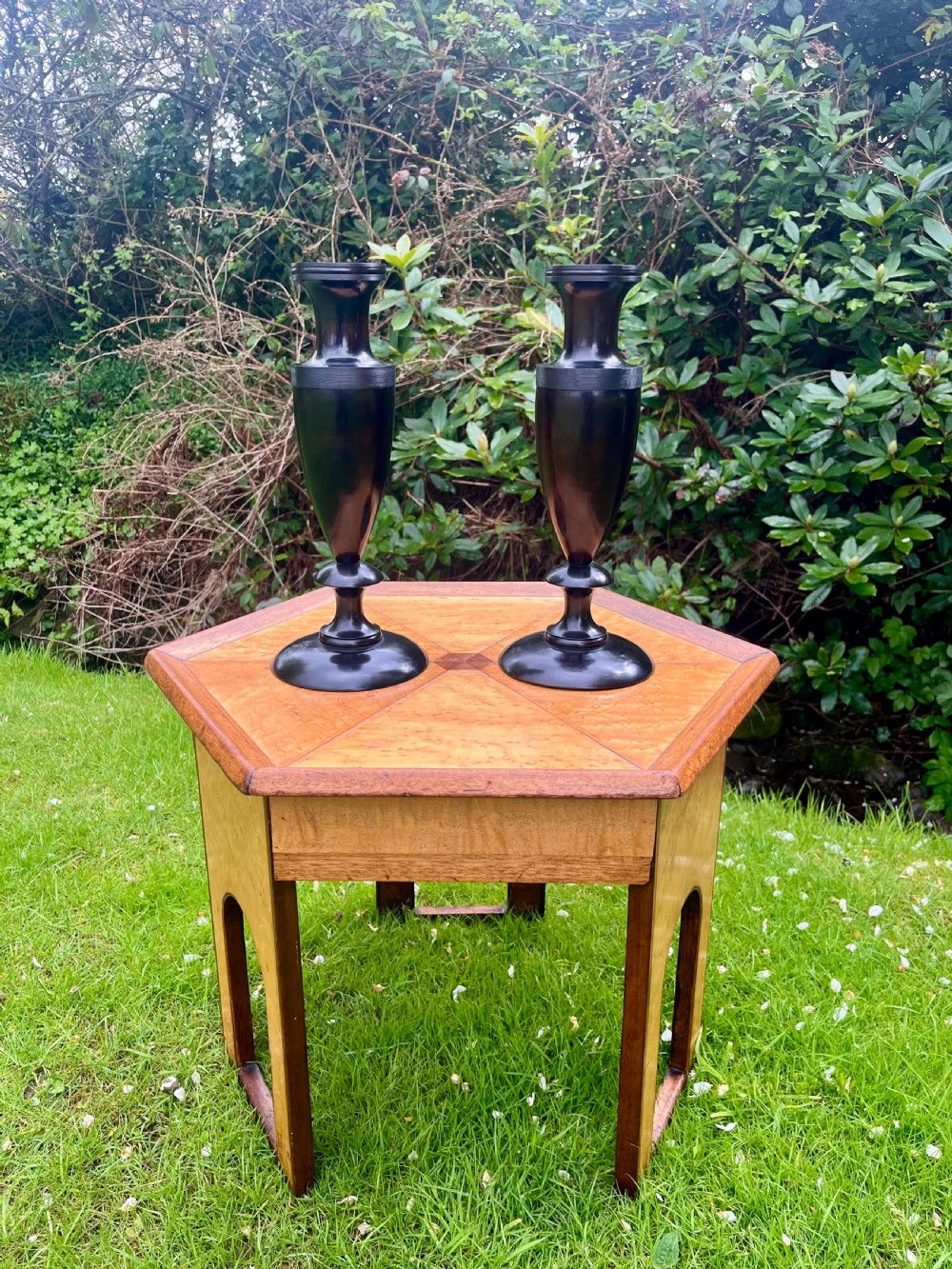 Pair of large lignum vitae vases View VIII