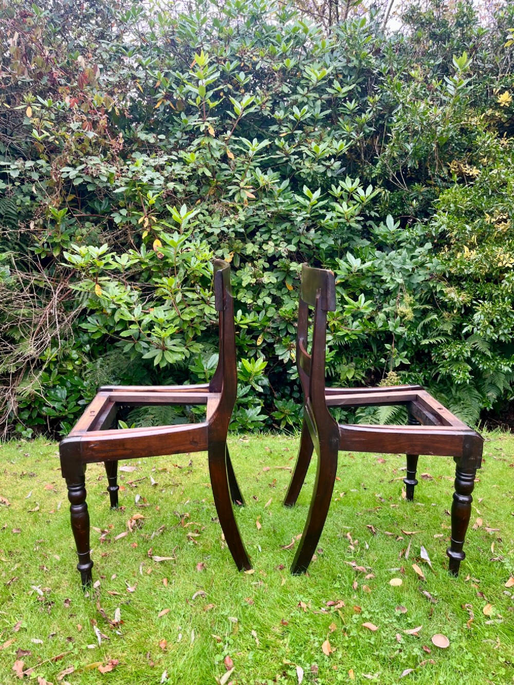 A pair of dark brown laburnum wooden side chairs featuring turned front legs, curved top rails, and open frames for drop-in seats. View II