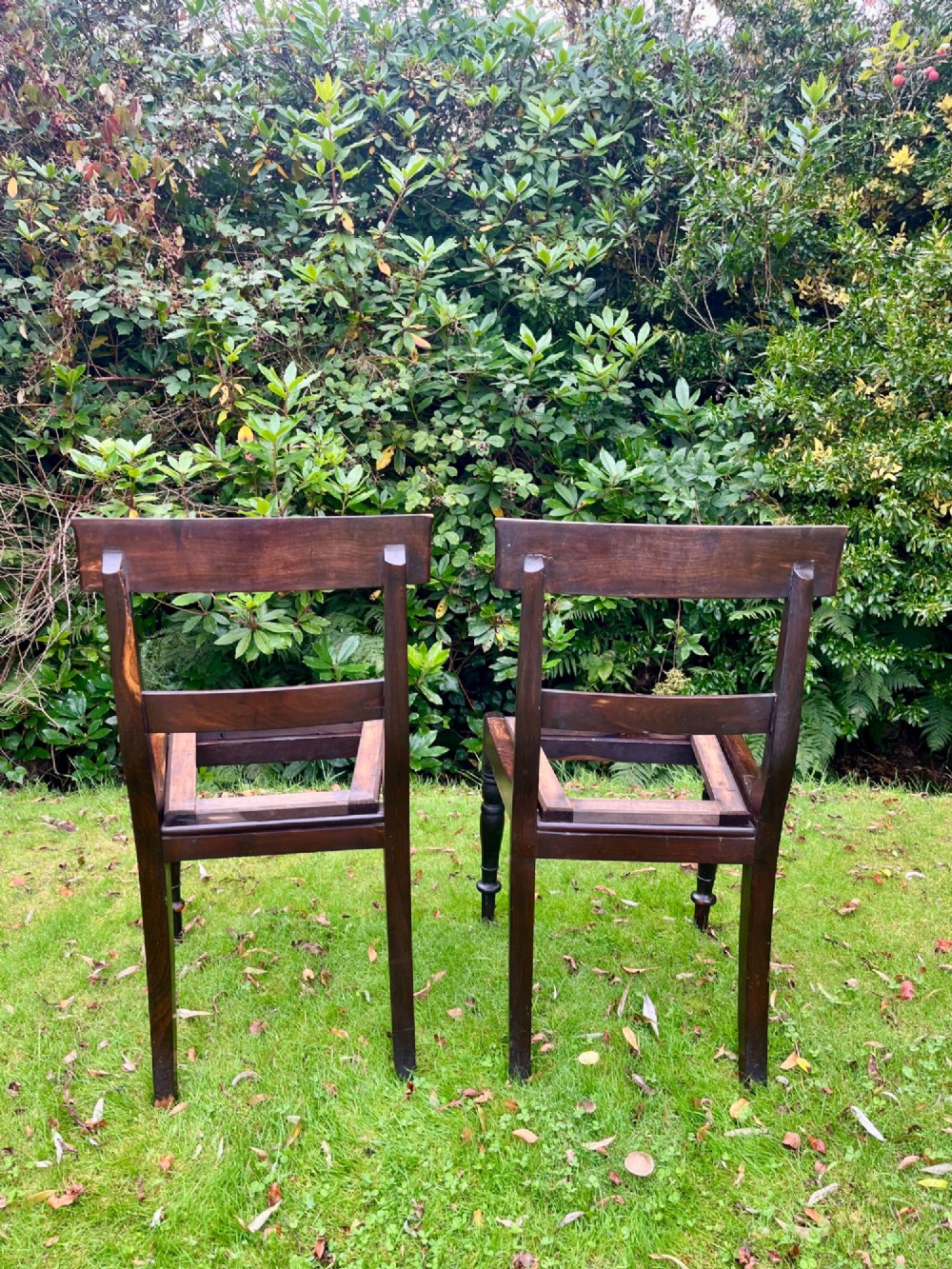 A pair of dark brown laburnum wooden side chairs featuring turned front legs, curved top rails, and open frames for drop-in seats. View III