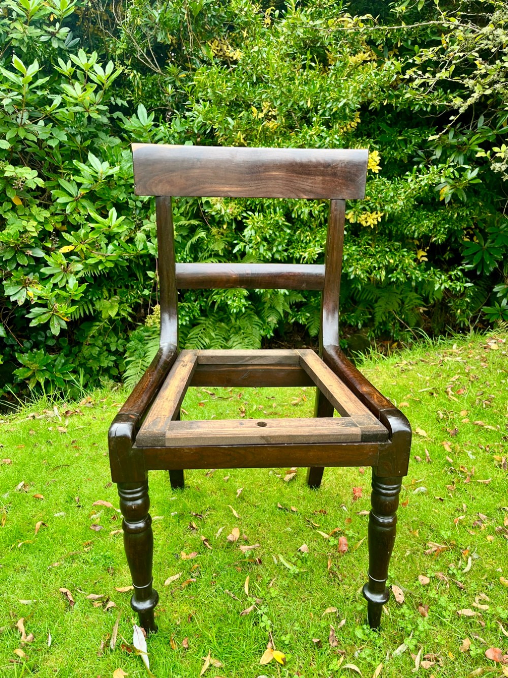 A pair of dark brown laburnum wooden side chairs featuring turned front legs, curved top rails, and open frames for drop-in seats. View IV