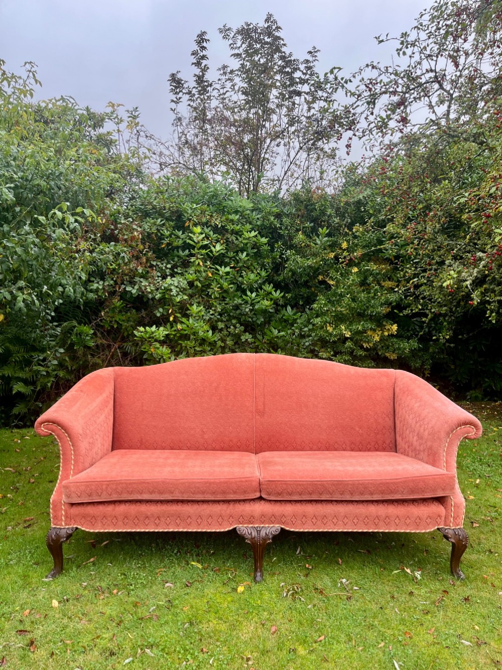 A terracotta upholstered camel back sofa featuring carved mahogany cabriole legs and twin seat cushions.