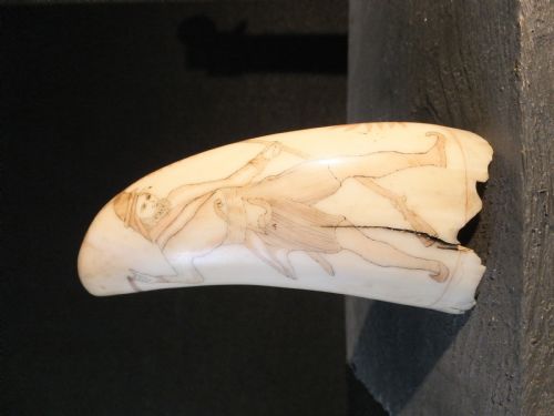 scrimshaw whale tooth - CATEGORY: ANTIQUE MISCELLANEOUS - DATED 19TH CENTURY