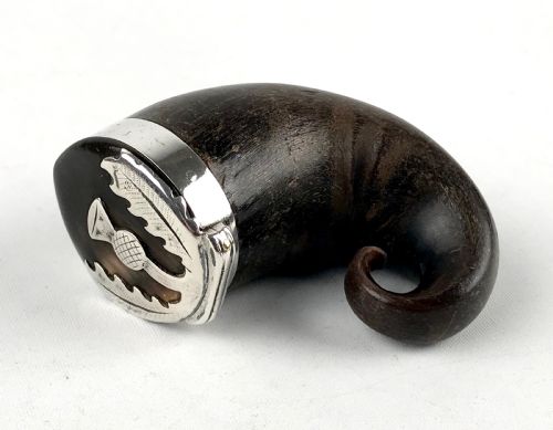 antique georgian scottish rams horn snuff mull with silver mount thistle - CATEGORY: ANTIQUE SILVER - DATED VICTORIAN