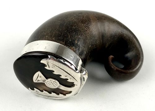 ANTIQUE GEORGIAN SCOTTISH RAMS HORN SNUFF MULL WITH SILVER MOUNT THISTLE - ADDITIONAL PHOTO 1