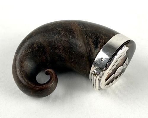 ANTIQUE GEORGIAN SCOTTISH RAMS HORN SNUFF MULL WITH SILVER MOUNT THISTLE - ADDITIONAL PHOTO 2