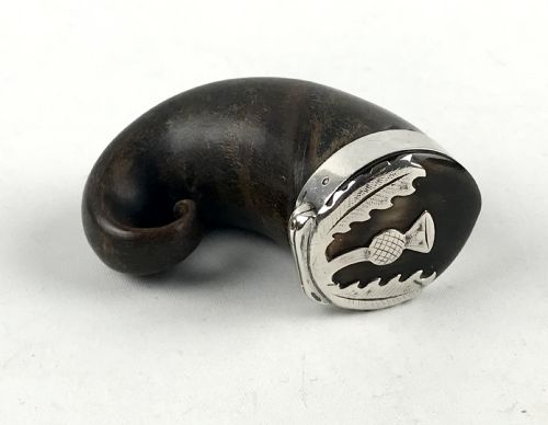 ANTIQUE GEORGIAN SCOTTISH RAMS HORN SNUFF MULL WITH SILVER MOUNT THISTLE - ADDITIONAL PHOTO 4