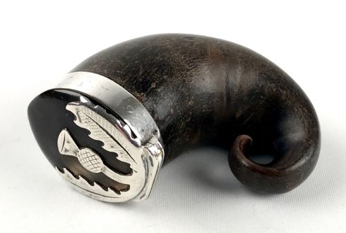 ANTIQUE GEORGIAN SCOTTISH RAMS HORN SNUFF MULL WITH SILVER MOUNT THISTLE - ADDITIONAL PHOTO 5