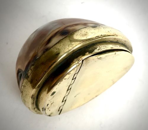 ANTIQUE GEORGIAN COWRIE SHELL SNUFF BOX HINGED LID CIRCA 1820 - ADDITIONAL PHOTO 2