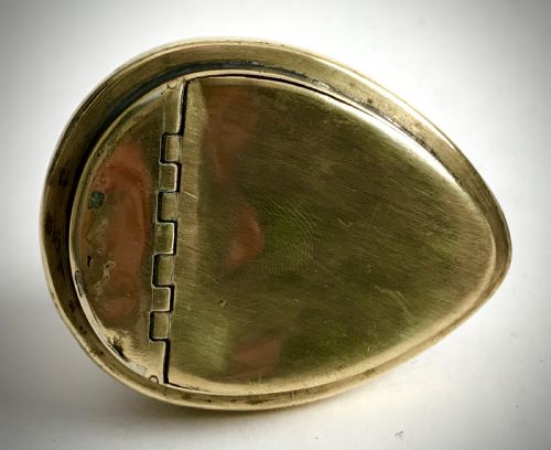 ANTIQUE GEORGIAN COWRIE SHELL SNUFF BOX HINGED LID CIRCA 1820 - ADDITIONAL PHOTO 3