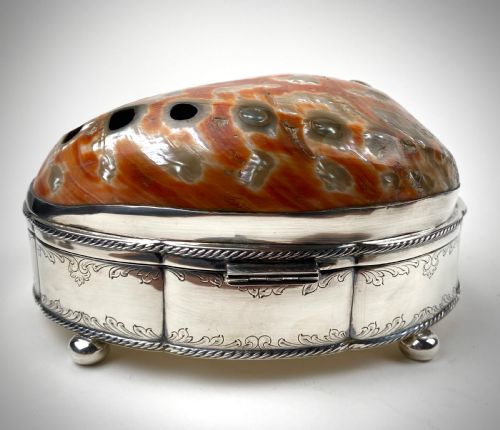 VERY LARGE SHELL SOLID STERLING SILVER SHELL JEWELLERY BOX 21CM - ADDITIONAL PHOTO 2