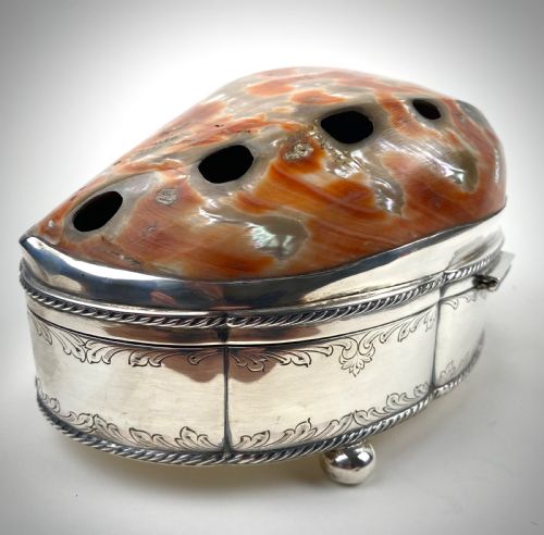 VERY LARGE SHELL SOLID STERLING SILVER SHELL JEWELLERY BOX 21CM - ADDITIONAL PHOTO 3