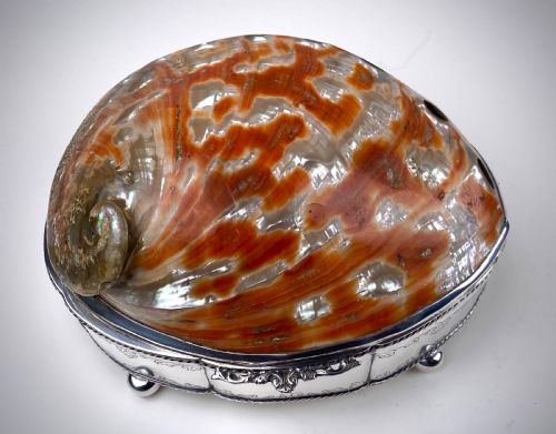 VERY LARGE SHELL SOLID STERLING SILVER SHELL JEWELLERY BOX 21CM - ADDITIONAL PHOTO 5