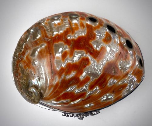 VERY LARGE SHELL SOLID STERLING SILVER SHELL JEWELLERY BOX 21CM - ADDITIONAL PHOTO 6