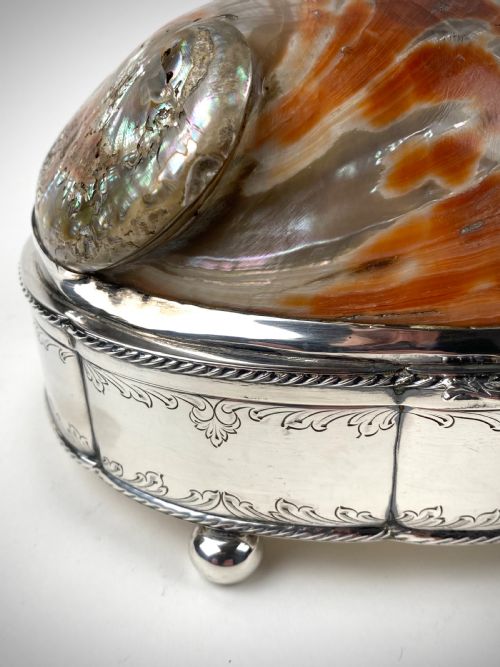 VERY LARGE SHELL SOLID STERLING SILVER SHELL JEWELLERY BOX 21CM - ADDITIONAL PHOTO 10