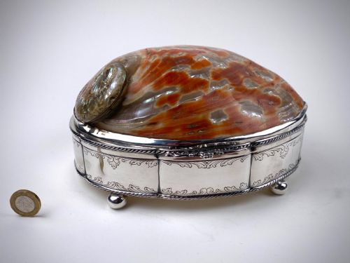 VERY LARGE SHELL SOLID STERLING SILVER SHELL JEWELLERY BOX 21CM - ADDITIONAL PHOTO 11