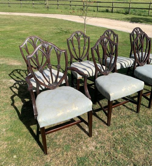 EIGHT EDWARDIAN DINING CHAIRS - ADDITIONAL PHOTO 1