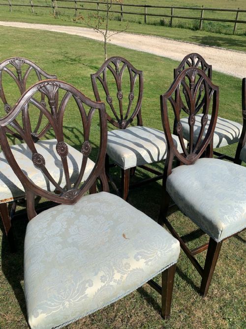 EIGHT EDWARDIAN DINING CHAIRS - ADDITIONAL PHOTO 2