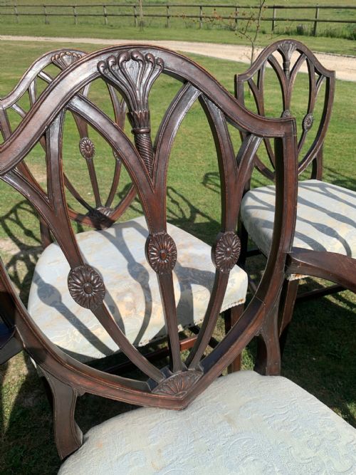 EIGHT EDWARDIAN DINING CHAIRS - ADDITIONAL PHOTO 3