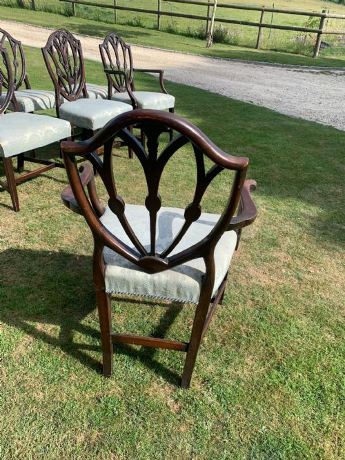 EIGHT EDWARDIAN DINING CHAIRS - ADDITIONAL PHOTO 5