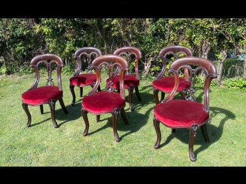 set six victorian mahogany dining chairs - CATEGORY: ANTIQUE CHAIRS - DATED VICTORIAN