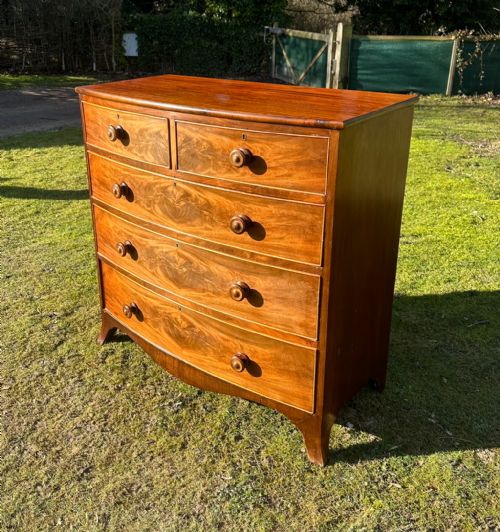 REGENCY BOW FRONTED MAHOGANY CHEST - ADDITIONAL PHOTO 1