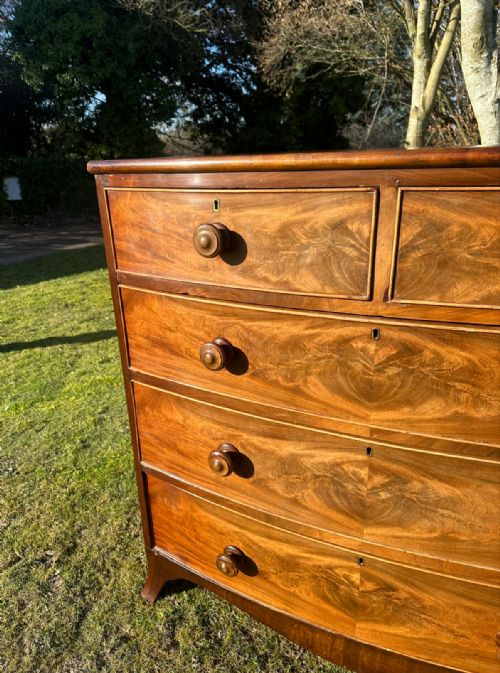 REGENCY BOW FRONTED MAHOGANY CHEST - ADDITIONAL PHOTO 4