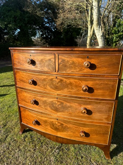 REGENCY BOW FRONTED MAHOGANY CHEST - ADDITIONAL PHOTO 5