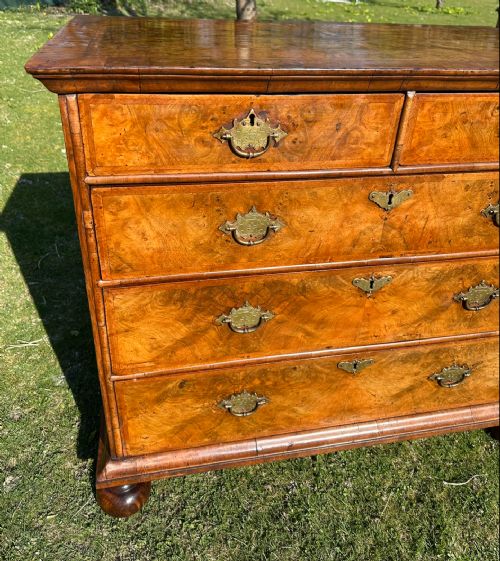 QUEEN ANNE WALNUT CHEST - ADDITIONAL PHOTO 5