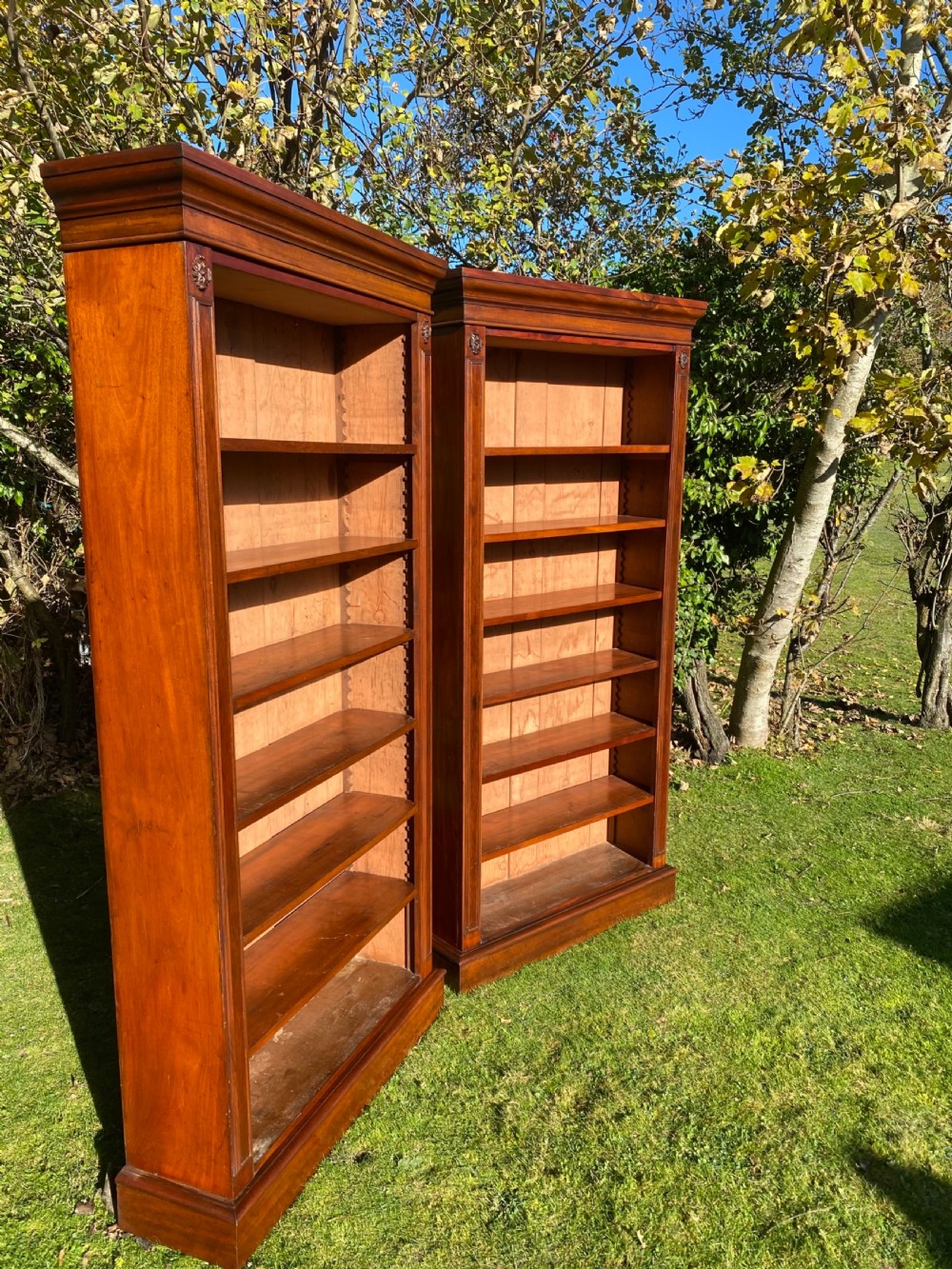 A Pair of Victorian Mahogany Bookcases View II