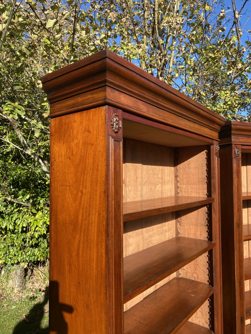 A Pair of Victorian Mahogany Bookcases View V