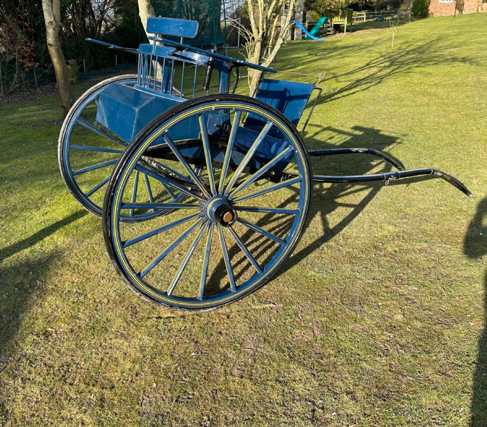 Victorian Pony Trap View II