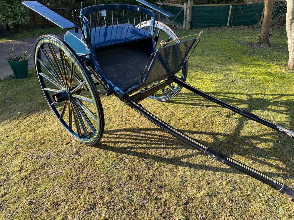 Victorian Pony Trap View III