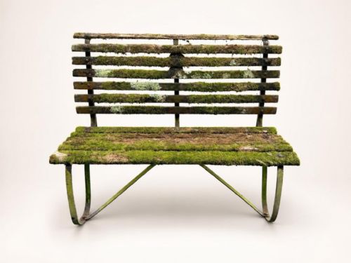 EDWARDIAN GARDEN BENCH - ADDITIONAL PHOTO 1