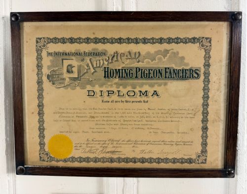 RARE SET OF RACING PIGEON PHOTOS AND DIPLOMAS - ADDITIONAL PHOTO 3