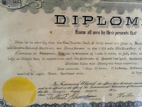 RARE SET OF RACING PIGEON PHOTOS AND DIPLOMAS - ADDITIONAL PHOTO 4